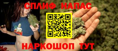 spice Кимры