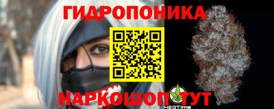 spice Кимры