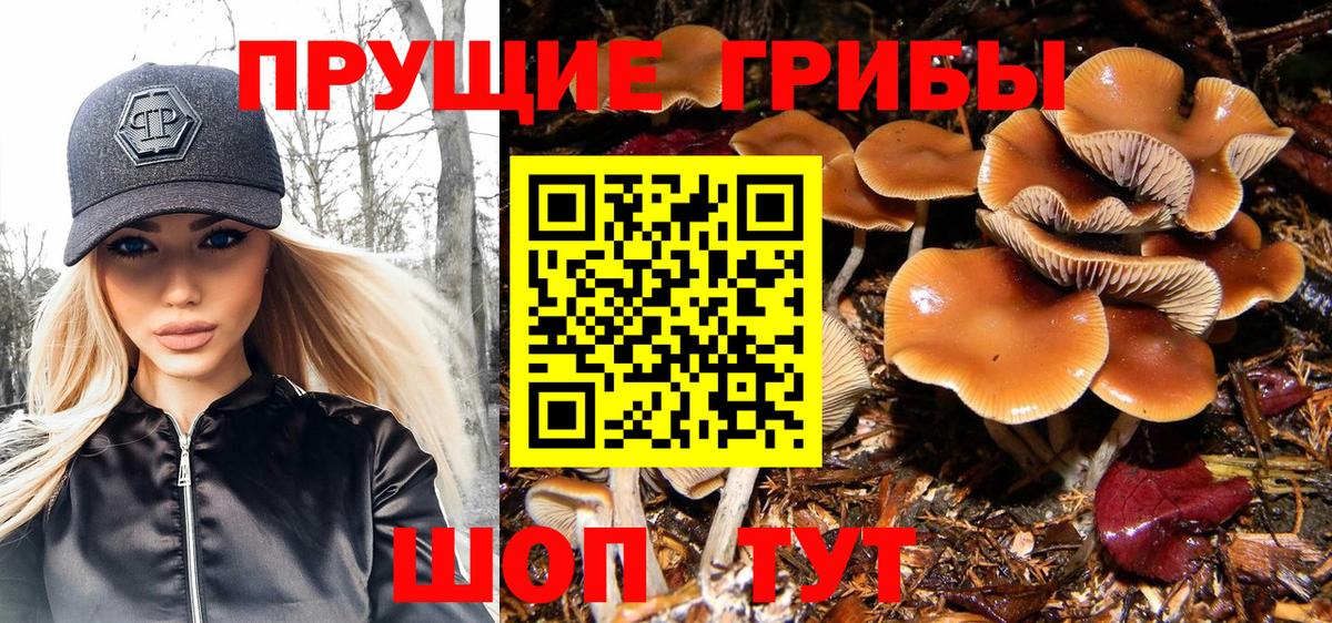 Галлюциногенные грибы MAGIC MUSHROOMS Урюпинск